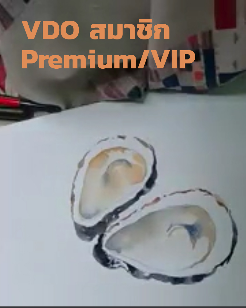 มาวาดหอยนางรมสดๆ หวานๆ กันค่ะ (VDO สมาชิก Premium/VIP)